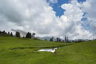Meadows of Kunali near Musa ka Musala in Siran Valley c. October 2015