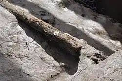 More rails can be seen sinking in the mud