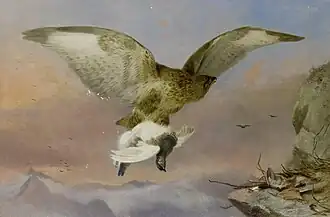 Buzzard with Ptarmigan (1876)