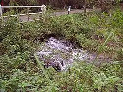 Two steams converge with the Glaven at the outlet from Selbrigg pond