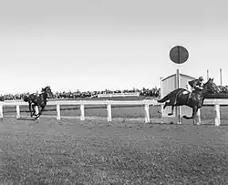 1932 Caulfield Cup finish showing the winner, Rogilla