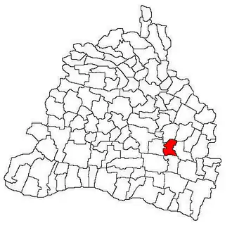 Location in Dolj County