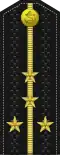 Kapitan-leýtenant (Turkmen Naval Forces)[25]
