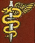 SANDF Ops medic proficiency badge