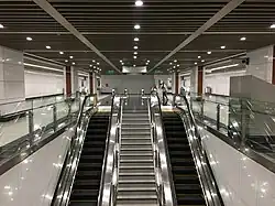 Escalators at the Lower Concourse Level of the station.