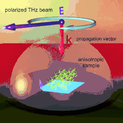 Anisotropic terahertz microspectroscopy measures the spatial orientation-dependence of molecular vibrations in anistropic materials using a rotated polarized THz electric field.