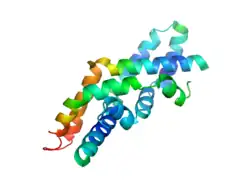 Saposin C dimer in an open conformation (PDB: 2QYP​).