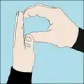 P for plastic: Form a "P" with both hands, signaling plastic is spotted and will be picked up.[41]
