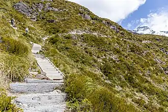 A staircase up the side of a mountain covered by tussock on a sunny day