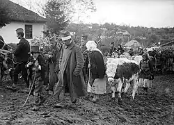 Serbian troops and refugees