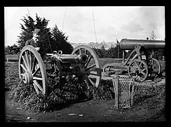 Showing two artillery guns in Albert Park, taken October 1898