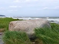 Image 56Erratics, boulders deposited by glaciers far from any existing glaciers, led geologists to the conclusion that climate had changed in the past. (from History of climate change science)