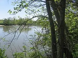 Sims Bayou passing through Milby Park