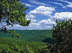 View from a lookout of green tree-covered mountains under a blue sky with white clouds