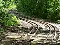 Dual track in the forest