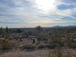 The Sonoran Desert, just outside of Taliesin West