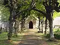 South Porch, with avenue of lime trees