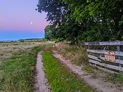 'Marders pollinaters sanctuary Bee pollinators sanctuary Springs, Long Island,