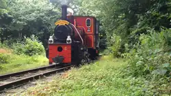 1949 Bord na Móna locomotive at the Stradbally Woodland Railway