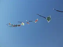 Train of connected kites
