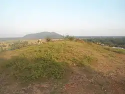 Gudiwada Dibba Buddhist Stupa Mound in Bhogapuram mandal