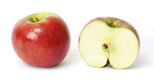 A round, red apple and its cross section side-by-side and isolated on a white background. A brown seed is set in the center of the cross sectioned apple.