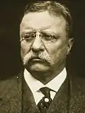 Former President Theodore Roosevelt of New York (Withdrawn during 3rd Ballot, endorsed Hughes)