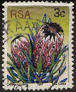 3rd Definitive Issue 3c Protea neriifolia