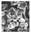 A picture of tantalum powder sintered together.