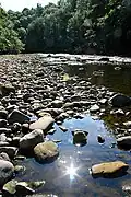 The River Ure at Hackfall Gorge near Mickley