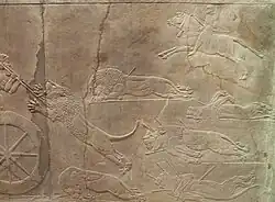 Lions behind the king's chariot