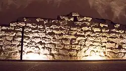 The Vestiges of the Gallo-Roman Walls (Grenoble)