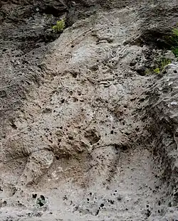 The rock-relief at Rabana-Merquly