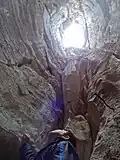 A sinkhole looking up