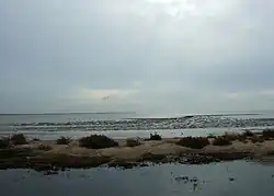 Tidal mud flats, East Mersea
