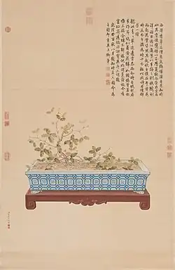畫海西知時草 Time-Telling Plant from the West (Mimosa pudica), 1753