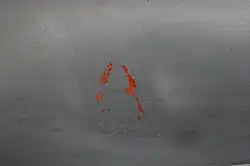 Red "A" on propeller.