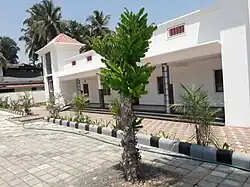 Bilimbi tree after replanting