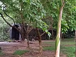 Tunnel for the Children's train at Kadri Park in Mangaluru