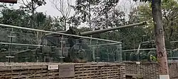 Type 59-1 130mm Field gun in Jianchuan museum