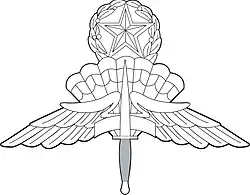 Master Military Freefall Parachutist Badge