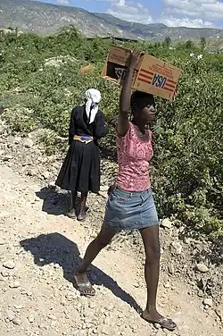 Haitian woman in a skirt carries a case of canned goods, 2008