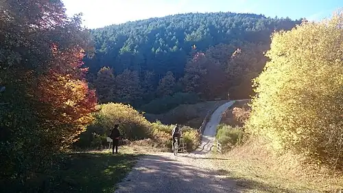 The Greenway at autumn.