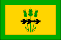 Flag of Velký Karlov