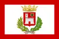 Flag of Vigevano