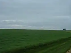Photo d'un champ en herbe très vert, les nuages étant bas.