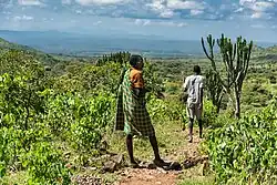 Tepeth Man walking on the Slopes of Mountain Moroto.