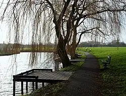 Warsop Mill Pond, Church Warsop