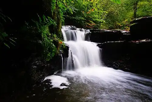Waterfall in Judy Woods