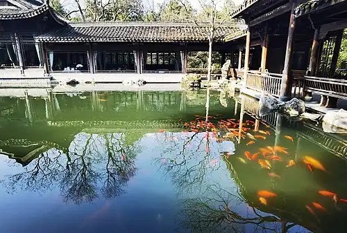 Fish Viewing at the Flower Pond
